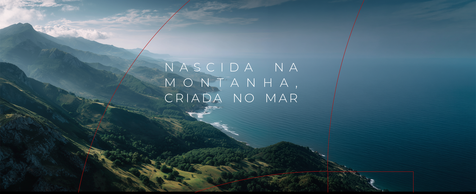 Allabard Raízes